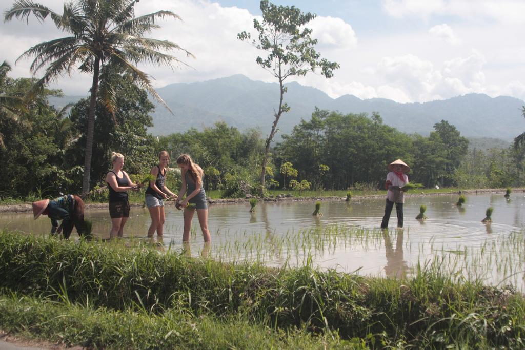 Ijen Bondowoso Home Stay Екстериор снимка